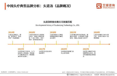 2024-2025年中國頭皮療養(yǎng)行業(yè)發(fā)展趨勢(shì)分析與投資前景展望